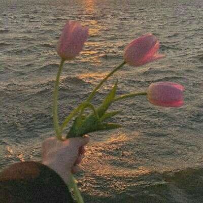 云开·全站APPkaiyun